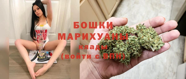 сатива Осташков