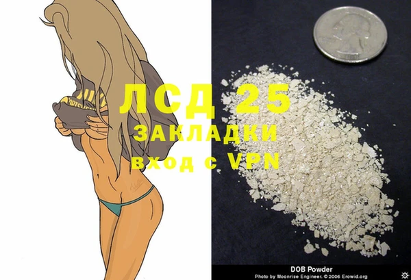 сатива Осташков