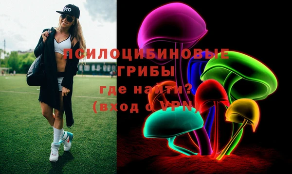 сатива Осташков