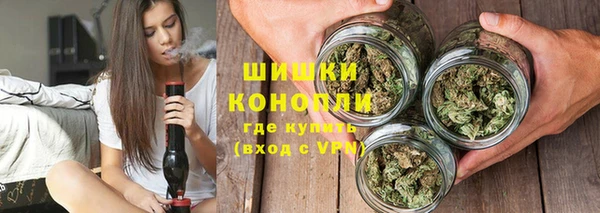 сатива Осташков