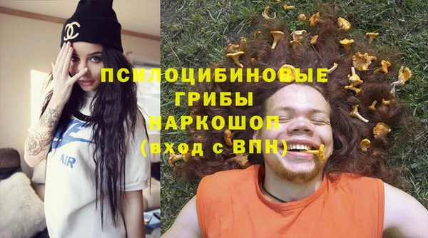 ALPHA PVP Осинники