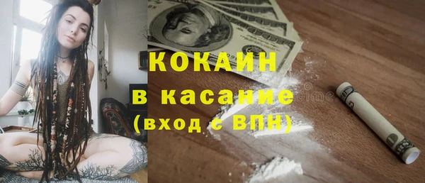 сатива Осташков