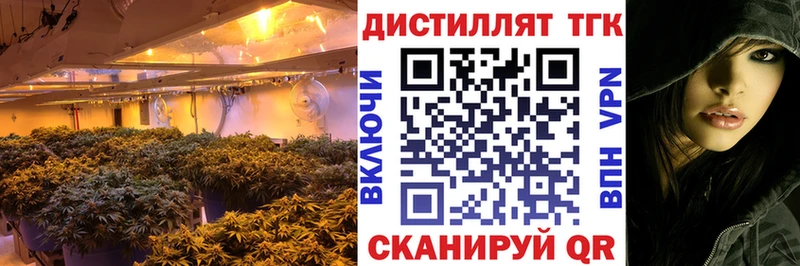 Дистиллят ТГК концентрат  Семикаракорск 